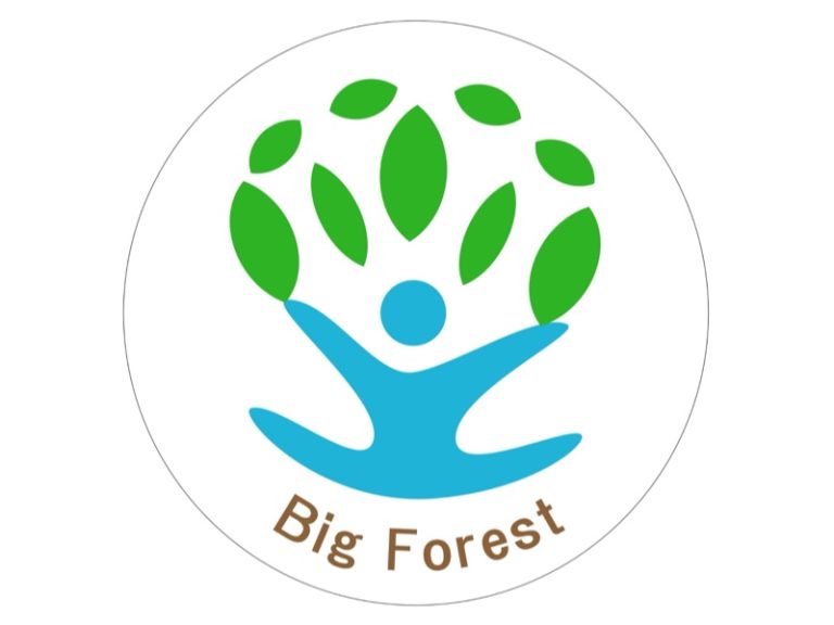 フリースクールBig Forest