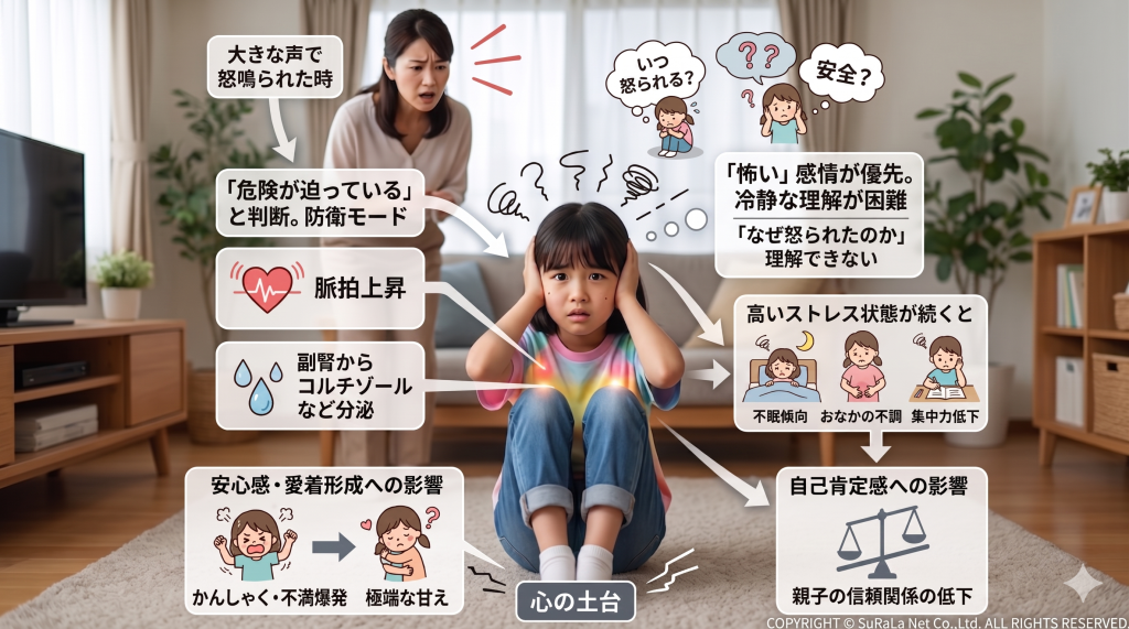 怒鳴られた時の子供の反応図解。脈拍上昇やコルチゾール分泌などの身体的変化から、集中力低下、自己肯定感の喪失、愛着形成への悪影響など、ストレスが及ぼす心身への影響一覧。