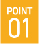 POINT 01