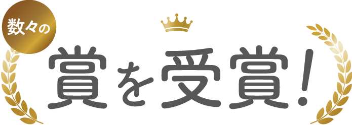 数々の賞を受賞