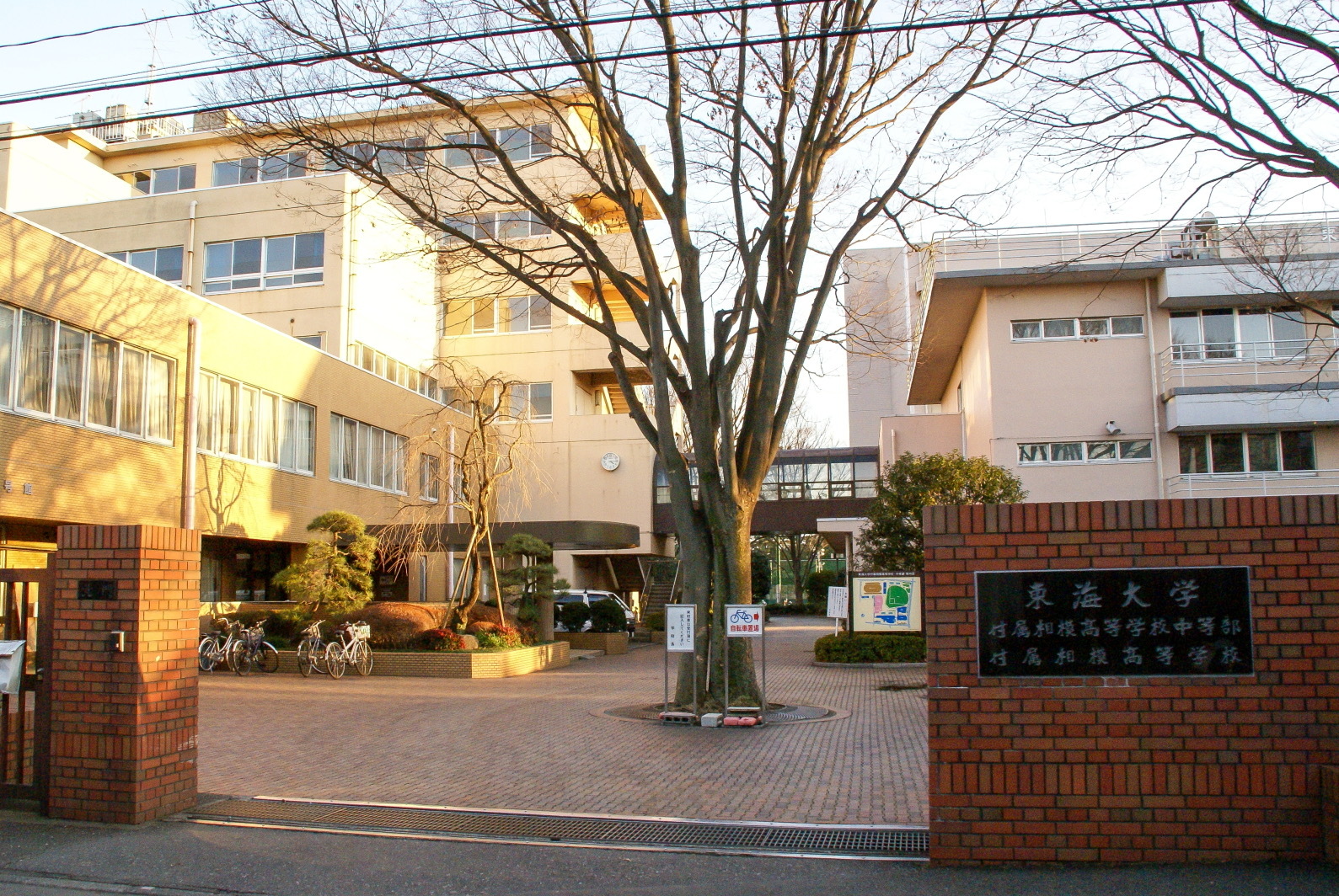 東海 大学 付属 相模 高等 学校 中等 部